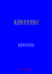 集团财务管理探讨（PPT 10）