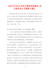 [3000字]2023年电子商务实训报告_实习报告范文【推荐4篇】