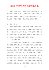 [3000字]实习报告范文精选5篇