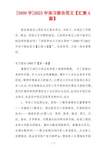 [3000字]2023年实习报告范文【汇集4篇】