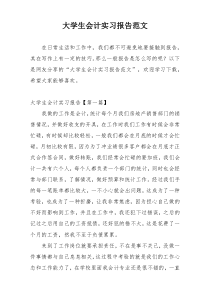 大学生会计实习报告范文