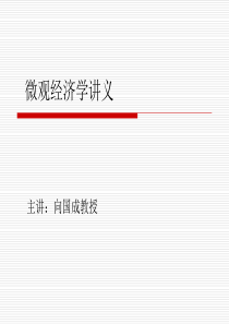 高级经济学讲义