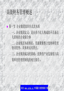 高级财务管理概述(ppt 7)