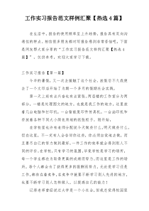 工作实习报告范文样例汇聚【热选4篇】