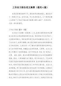 工作实习报告范文集聚（通用4篇）