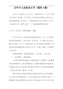 公司个人总结怎么写（通用4篇）