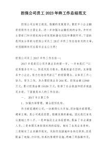 担保公司员工2023年终工作总结范文