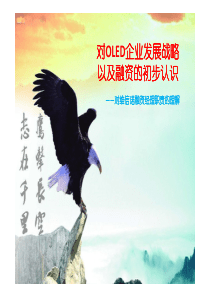 OLED企业战略及融资选择[只读]