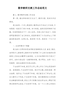 数学教师支教工作总结范文