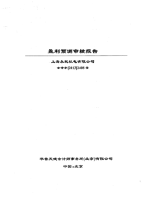 上海永乾机电有限公司盈利预测审核报告