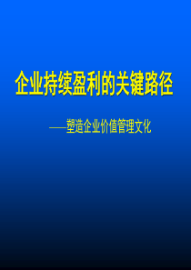 企业持续盈利的关键路径.ppt