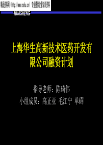 上海华生有限公司融资计划(1)