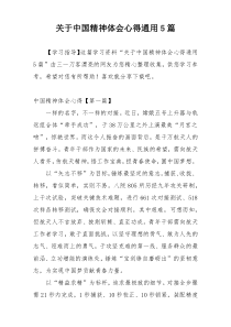 关于中国精神体会心得通用5篇