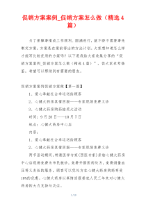 促销方案案例_促销方案怎么做（精选4篇）