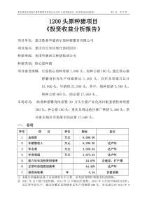 1200头原种猪场投资收益分析报告