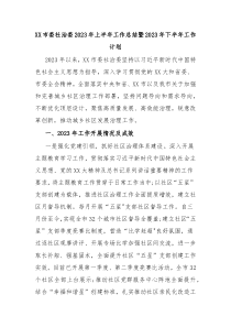 XX市委社治委2023年上半年工作总结暨2023年下半年工作计划