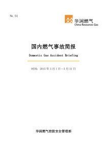 XXXX年3月份国内燃气事故简报