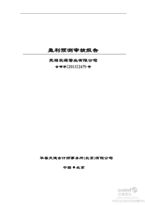 芜湖双源管业有限公司盈利预测审核报告