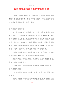 公司新员工培训方案例子实用4篇