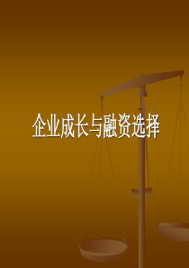 企业成长与融资选择（PPT 78页）