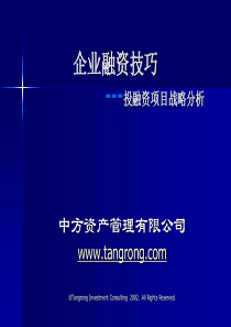 企业融资技巧---投融资项目战略分析