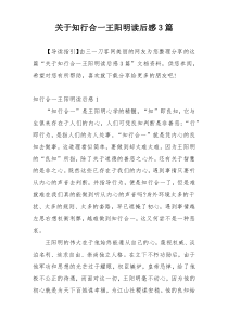 关于知行合一王阳明读后感3篇