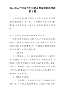 选人用人方面存在的问题及整改措施范例最新5篇