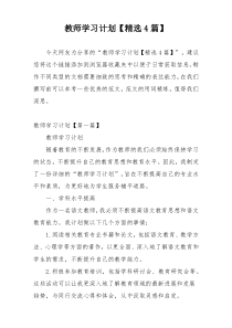 教师学习计划【精选4篇】