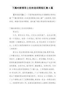 下属对新领导上任欢迎词简短汇集3篇