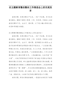 在主题教育整改整治工作推进会上的交流发言