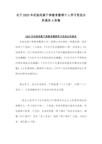 关于2023年纪检巡察干部教育整顿个人学习党性分析报告4份稿