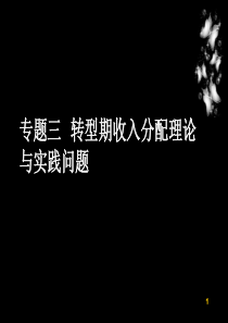 专题三转型期收入分配理论与