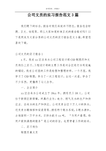 公司文员的实习报告范文3篇