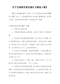 关于支部委员意见建议【精选4篇】