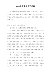 电力公司会议见习总结