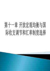 11开放宏观均衡与国际收支调节和汇率制度选择