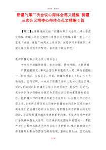 新疆的第三次会议心得体会范文精编 新疆三次会议精神心得体会范文精编4篇