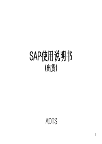 SAP SD使用手册