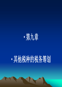 9 其他税种的税收筹划