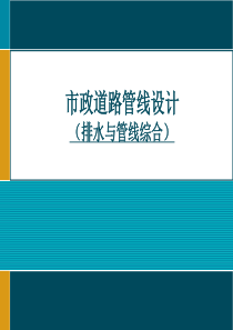 市政排水及管线综合设计