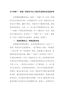 关于构建一肩挑党组织书记三级协同监管体系经验材料