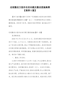 巡视整改方面存在的问题及整改措施集聚【推荐5篇】