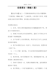 恋爱感言（精编3篇）