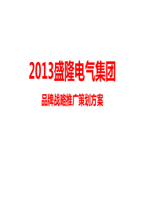 XXXX盛隆电气集团品牌战略推广策划方案