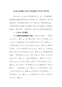 XX县人民政府上半年工作总结及下半年工作计划