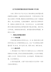 关于某县高质量发展先进评选表彰工作方案