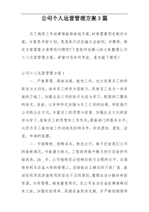 公司个人运营管理方案3篇