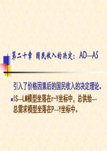 国民收入的决定：AD—AS(1)