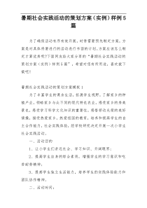 暑期社会实践活动的策划方案（实例）样例5篇