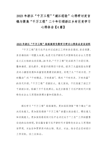 2023年浙江“千万工程”“浦江经验”心得研讨发言稿与聚焦“千万工程”二十年引领浙江乡村巨变学习